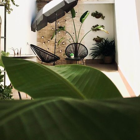 Apartamentos Elite - Art Collection - Frida Merida Exterior photo